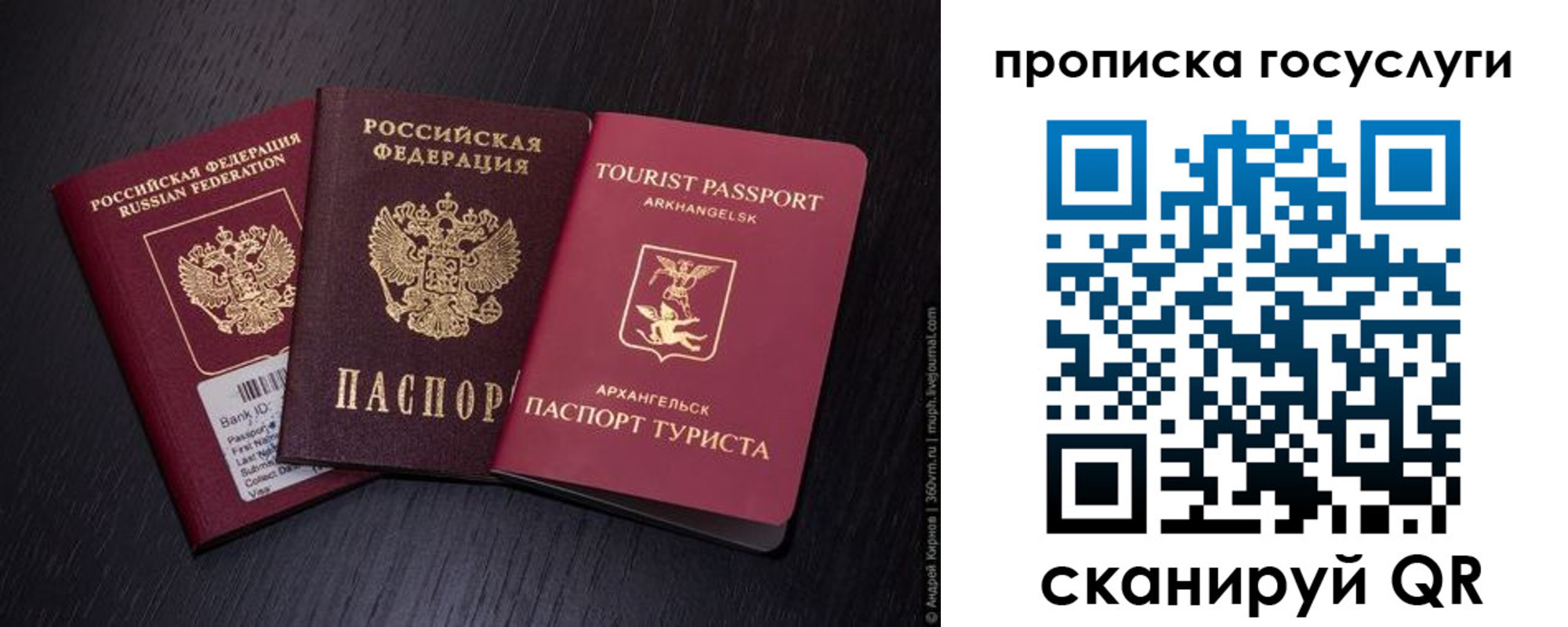прописка 2025 в Покрове